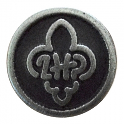 Znaczek z logo ZHP wypukły